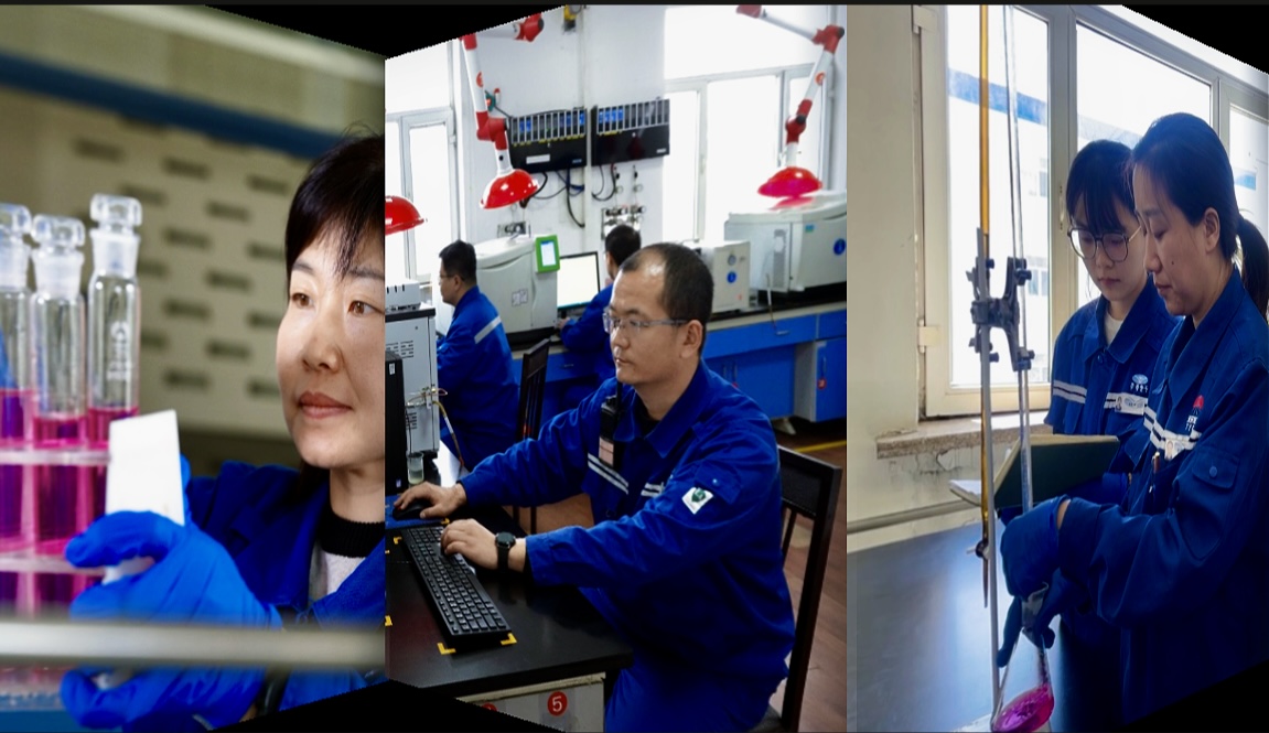 1731370019157632.jpeg 微信图片_20241111161210.jpg