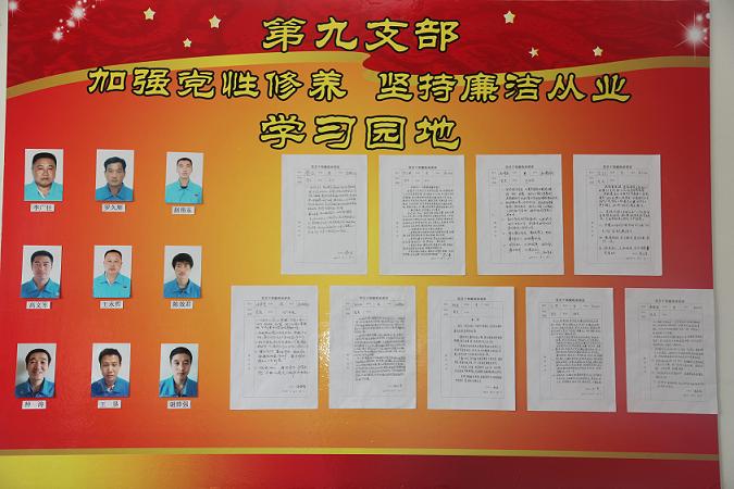 第九党支部党员干部廉政承诺表 第九党支部党员干部廉政承诺表